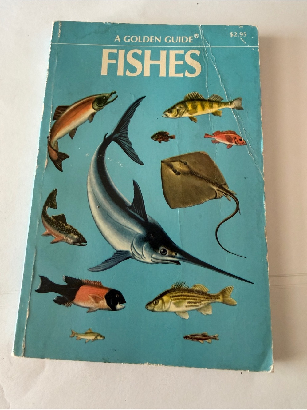 A Golden Press Guide Fishes 1955 160p P Herbert Zim &  Shoemaker